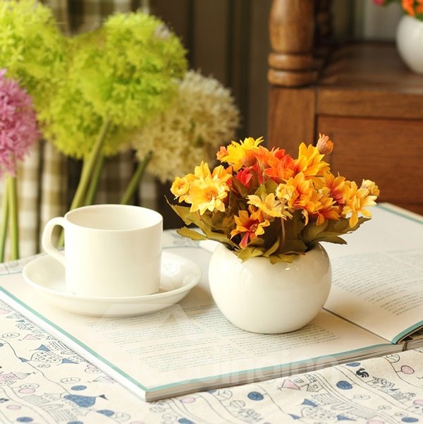 Lovely 4-Color Daisies in Porcelain Pot Desktop Decoration Flower Sets
