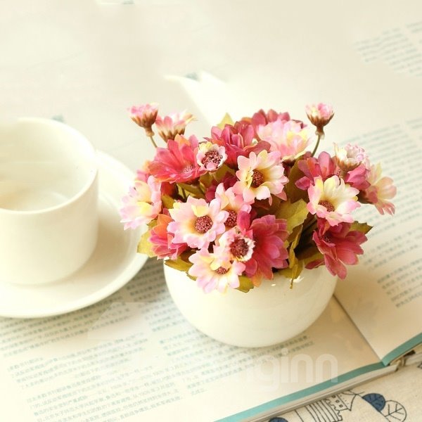 Lovely 4-Color Daisies in Porcelain Pot Desktop Decoration Flower Sets