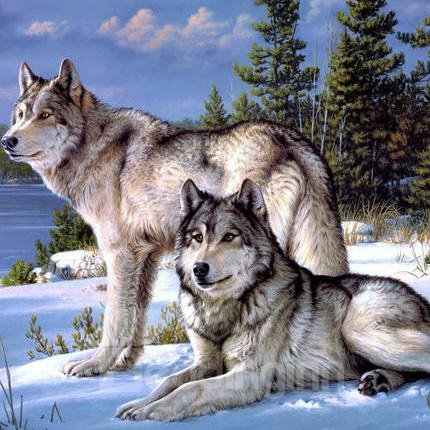 Patrón de lobo de nieve aventurero masculino vívido, pegatina de pared de diamante DIY de 1 pieza