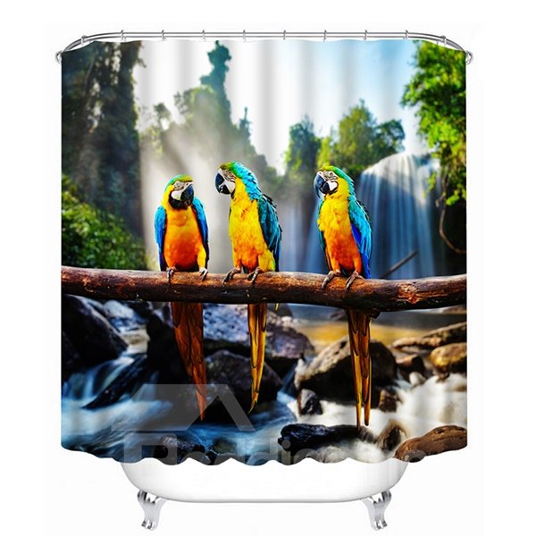 Three Parrots Standing on One Branch Print 3D Bathroom Shower Curtain