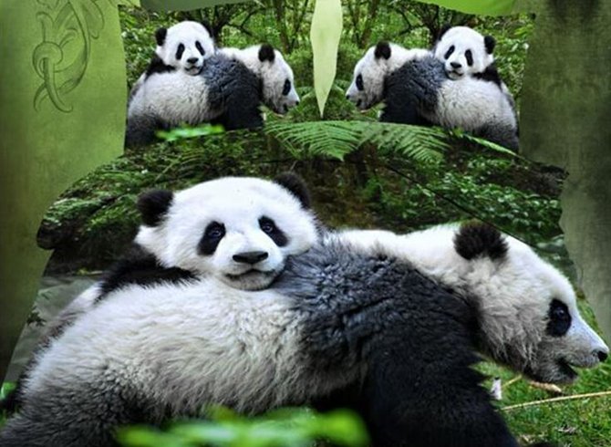 Cute Panda 3D Print Polyester 4-Piece Duvet Cover Sets