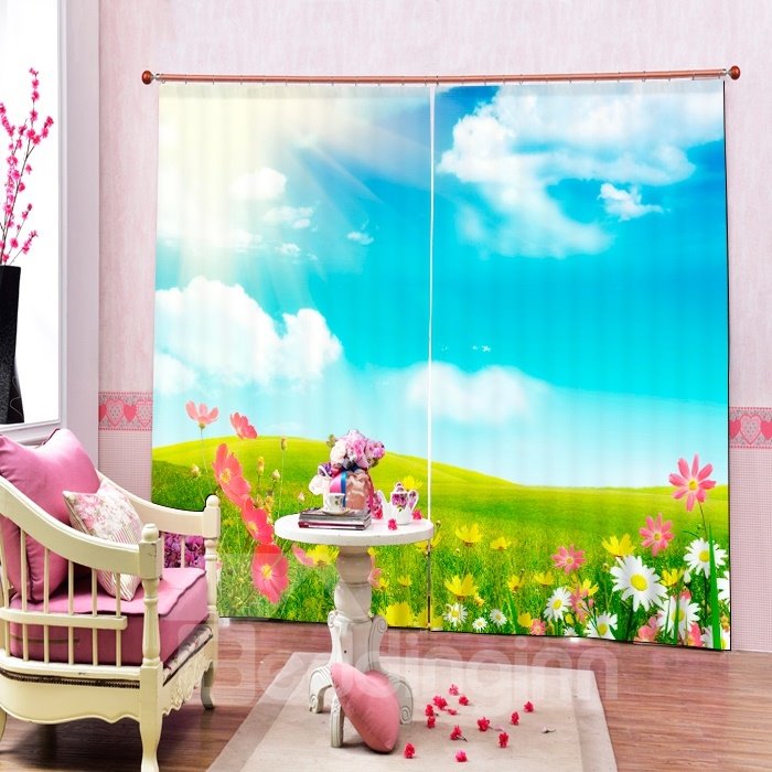 Sun Shine Glass Land and Flowers Printing 3D Curtain
