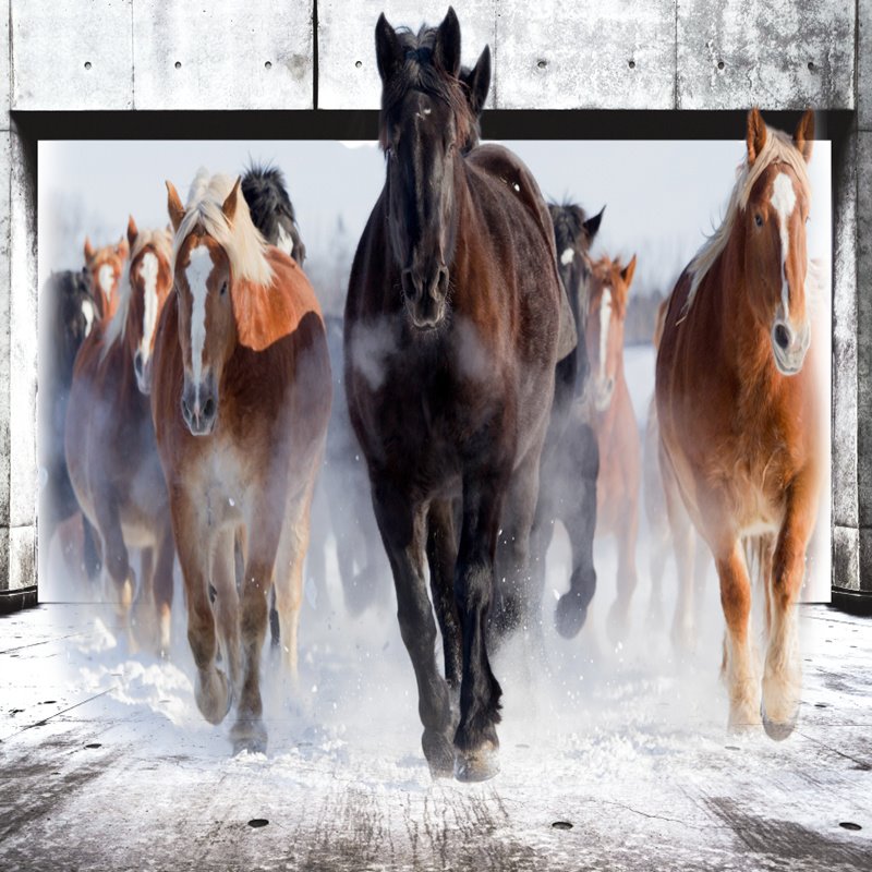 Modern Design Aligned Horses Pattern Decorative 3D Wall Murals