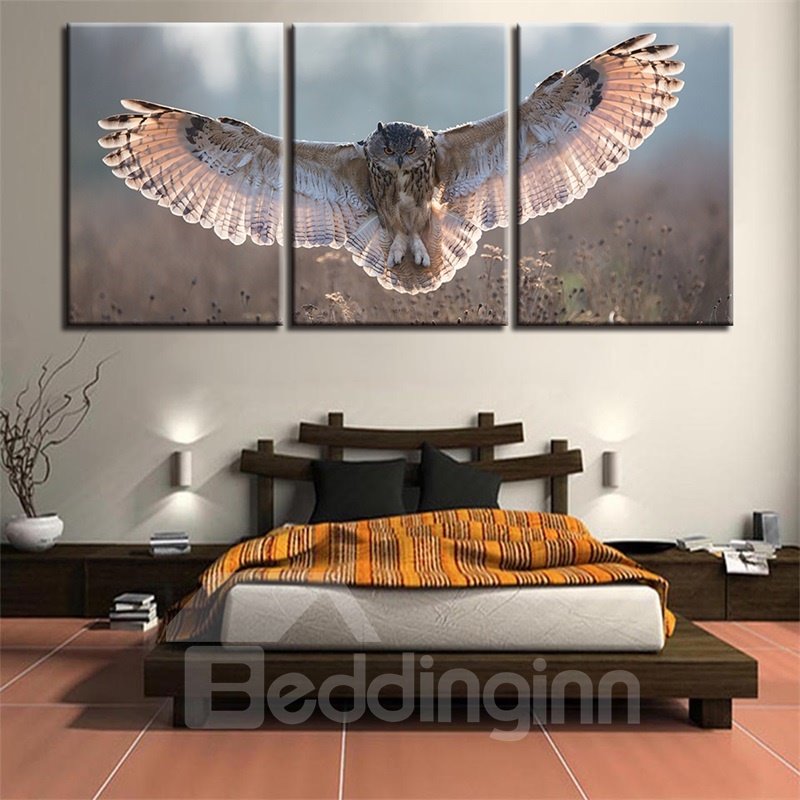 11.8*17.7in*3 Pieces Eagle Hanging Canvas Waterproof and Eco-friendly Wall Prints