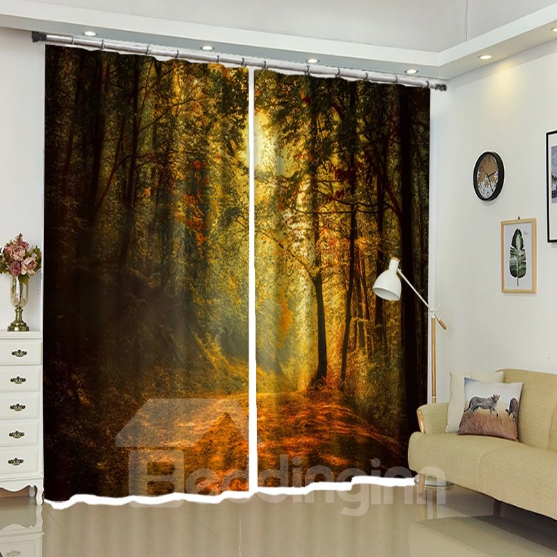 Winding Path in Deep Forest Trees View Polyester Curtain / Blackout