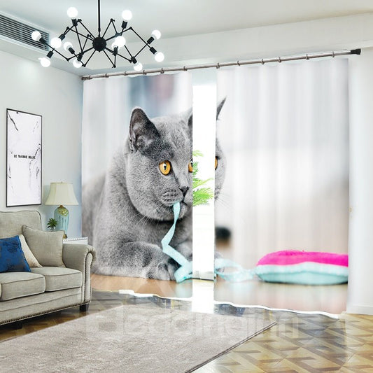 Grey Cat British Shorthair Bites Ribbon Animal Curtain