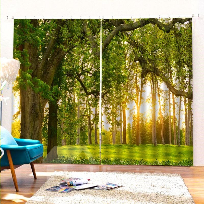 Room Darkening 3D Scenery Green Curtains 2 Panel Set 200 ©O Thick Polyester Silky Satin Polyester Blend Provides an Elegant Look and Silky Soft Touch Good Shading Effect and Anti-ultraviolet Radiation 104W*84