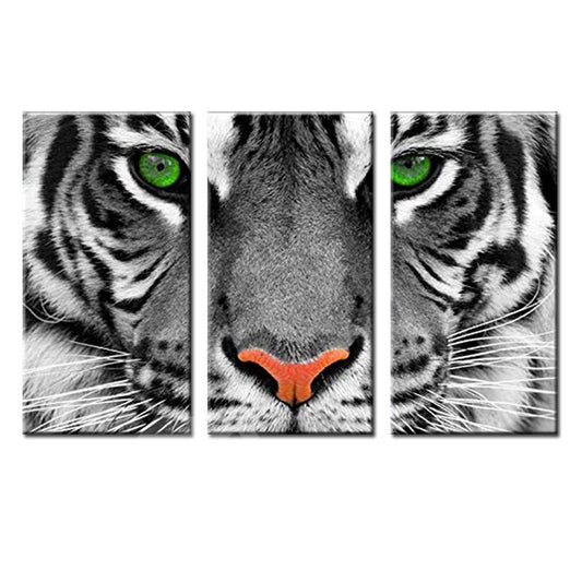 Waterproof Eco-friendly Tiger Pattern 3 Pieces Hanging Canvas Wall Prints