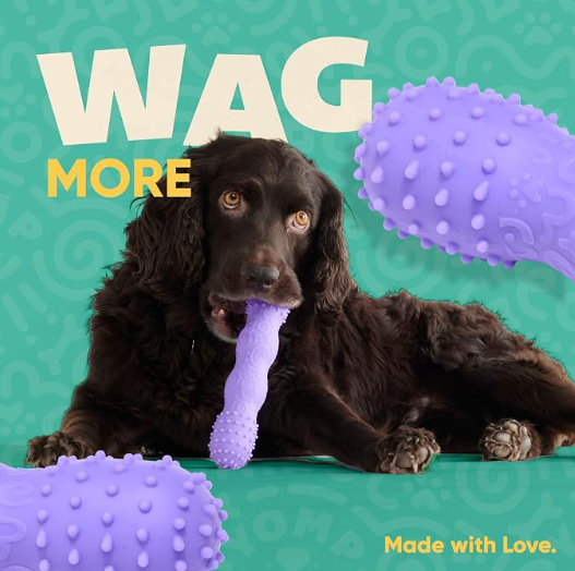 Yomp ToothBuddy Dog Dental Chew Toy – Teething and Chewing Toy for Puppies and Teething Dogs – Pet-Safe, Non-Toxic Silicone Dog Bone