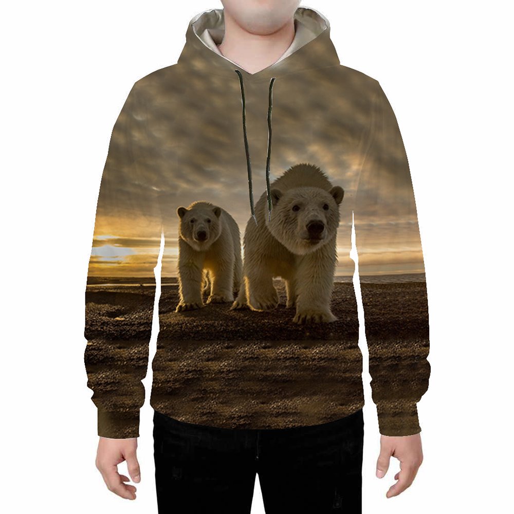 Langarm 3D Eisbär Gedruckt Hoodie Sweatshirts Jogginghose Trainingsanzüge Streetwear Sets Casual Print Frühling Herbst Winter Herren Outfit