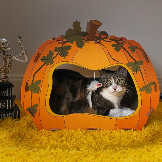 Midlee Halloween Pumpkin Cat Scratcher Cardboard House