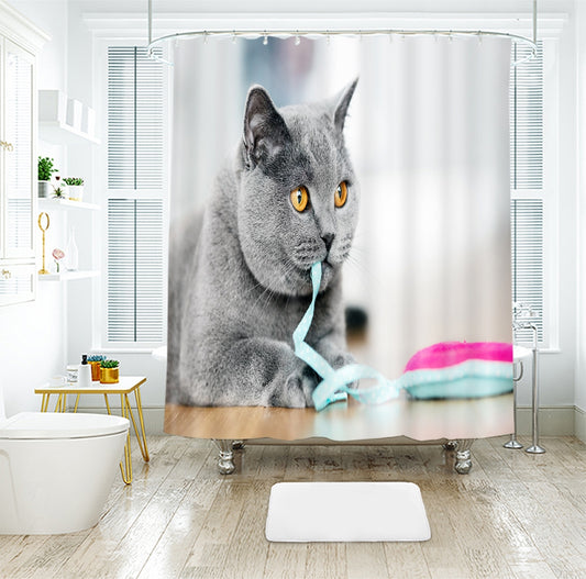 Shorthair Cat Printed Shower Curtain of Density Polyester, British Shorthair Theme Bathroom Decorative Curtain