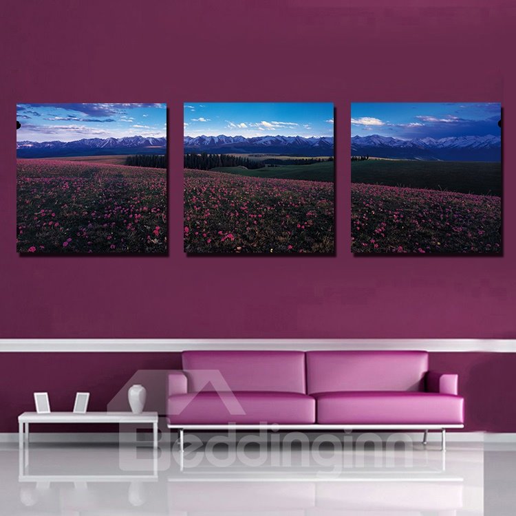 New Arrival Beautiful 3-Pieces of Crystal Film Art Wall Print