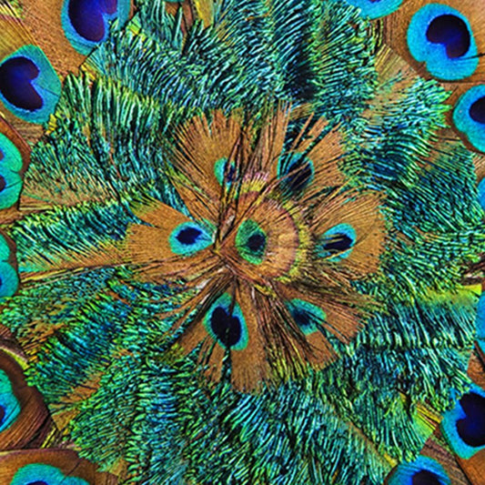 3D-Pfauenfeder-bedruckter Badezimmer-Duschvorhang aus Polyester