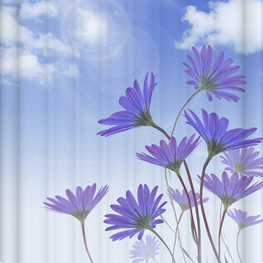 Cortina de ducha 3D con imagen de cielo despejado de clase alta