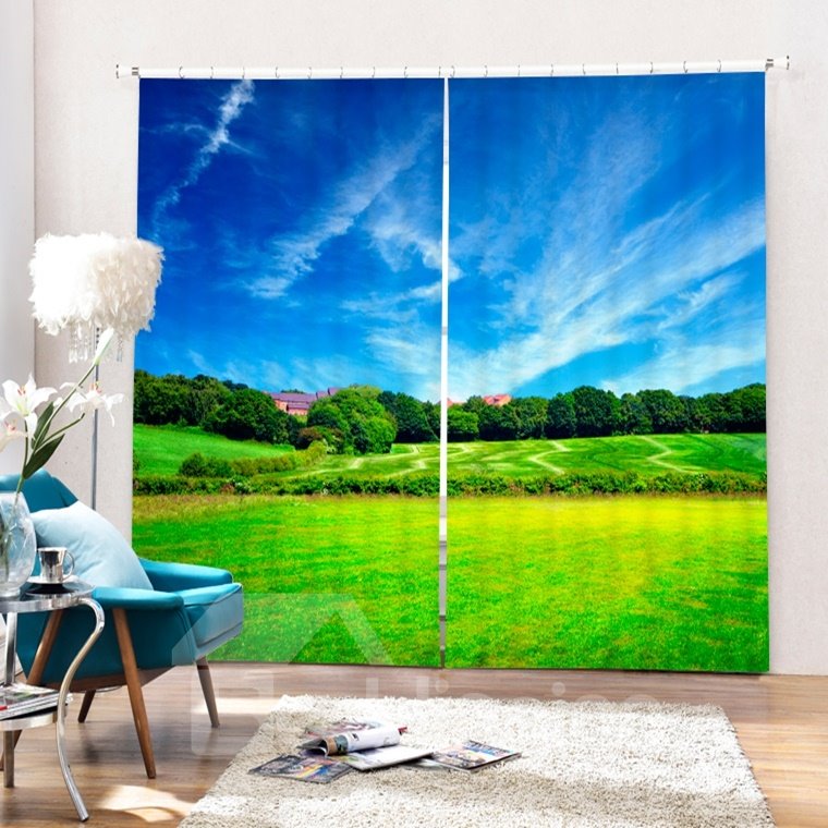3D-Vorhang mit blauem Himmel und grüner Weide