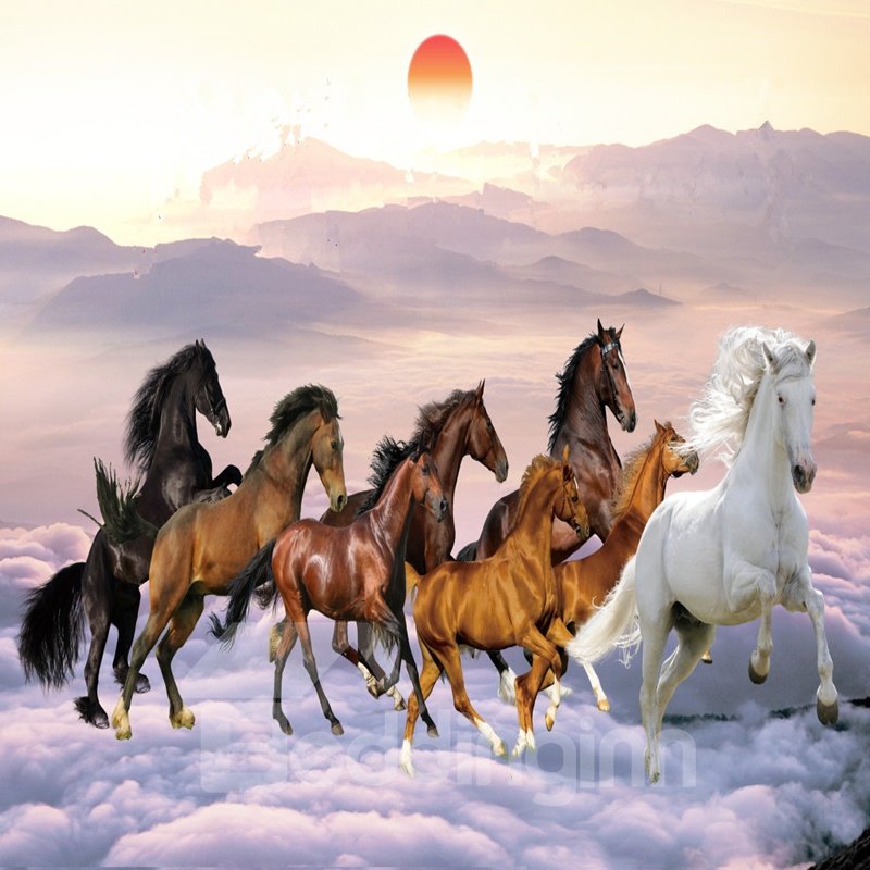 Fabelhafte, kreative, wasserfeste 3D-Wandbilder mit Pferdemuster