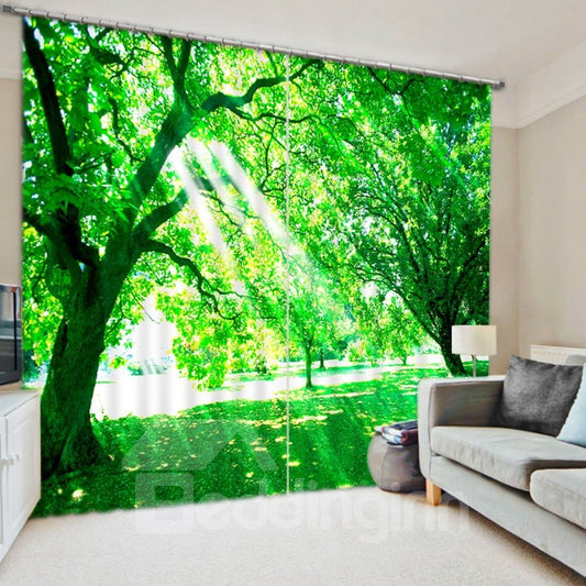 3D Printed Bright Sunshine and Green Leaves Natural Style Polyester Curtain Roller Shades