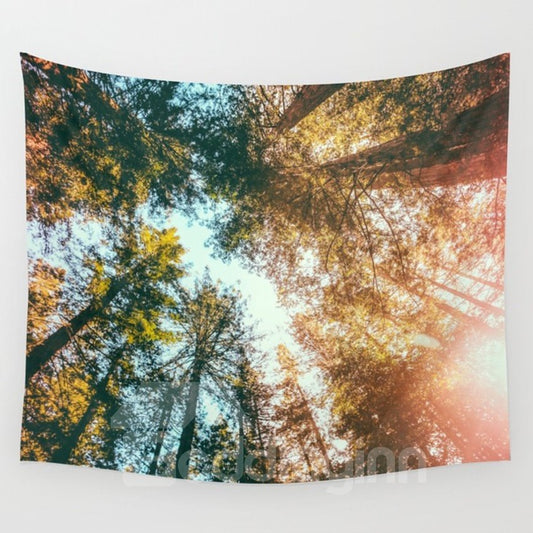 59 L x 51 W Wandteppiche im frischen Stil mit Sonnen- und Waldlandschaft