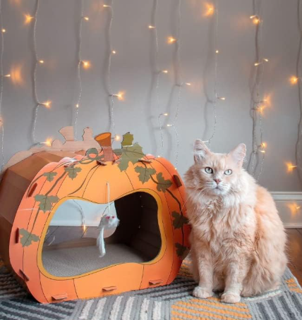 Midlee Halloween Pumpkin Cat Scratcher Cardboard House
