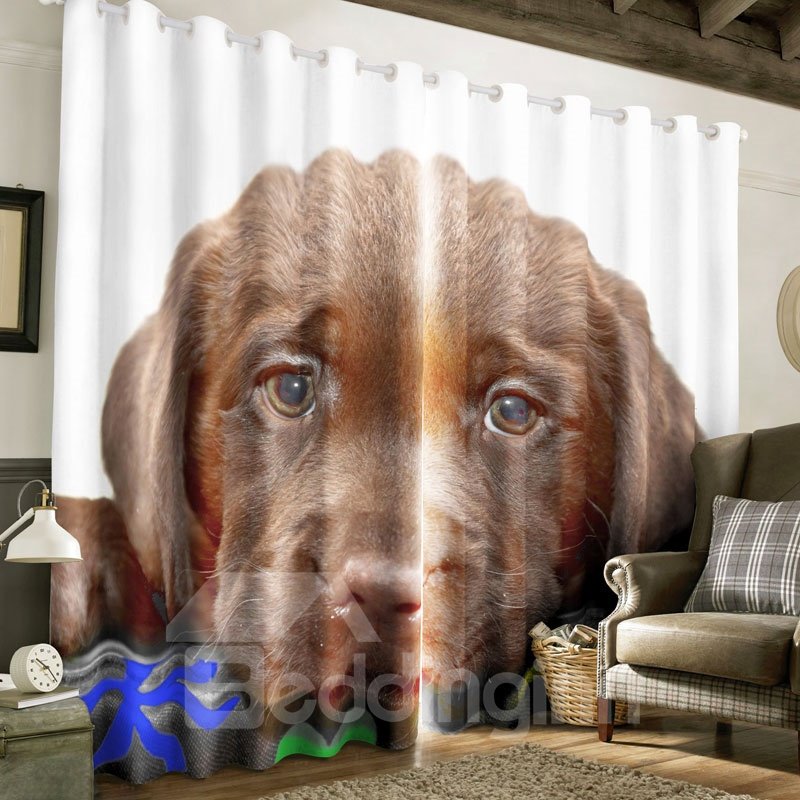 Cortina opaca personalizada con estampado de perro solitario de melancolía marrón 3D para sala de estar y dormitorio