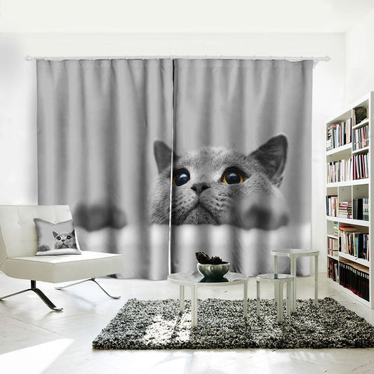 Cat Printed Blackout Curtain of Density Polyester, 2 Panel Style British Shorthair Cat Theme Shading Curtain