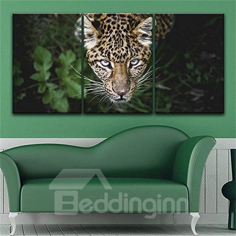Tiger Head 3 Pieces Hanging Canvas Waterproof Eco-friendly Framed Wall Prints