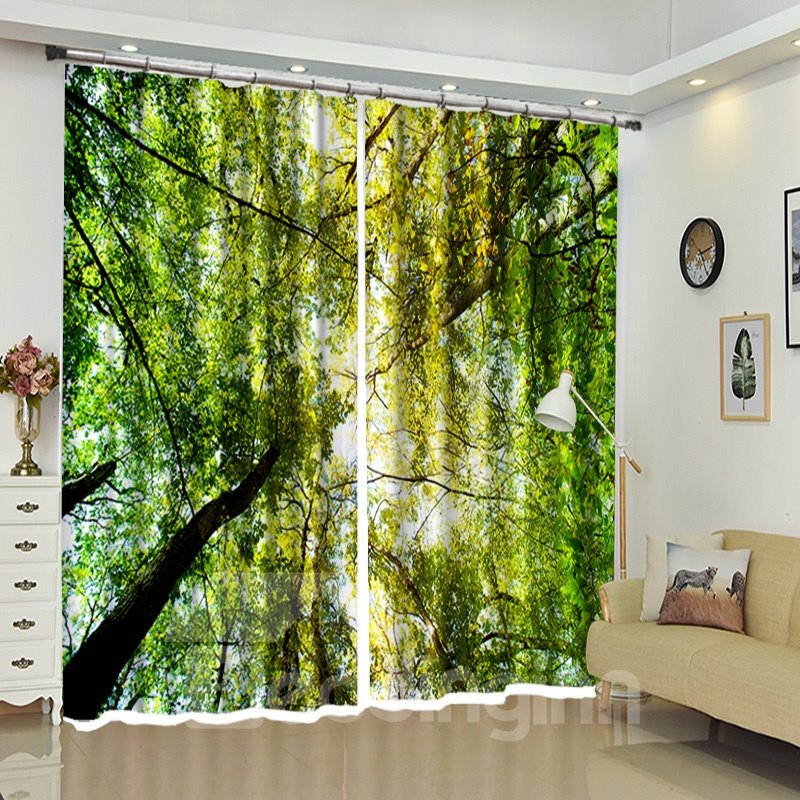 Ramas verdes con hojas sobre la cabeza, vista natural, cortina opaca