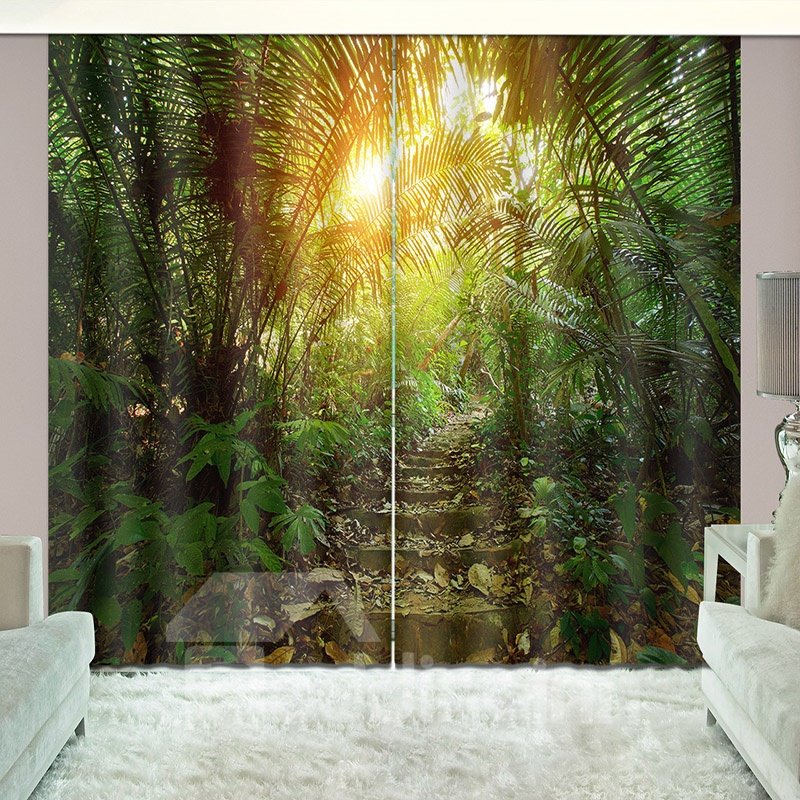 Pista pedregosa en Jungle Sunshine a través de cortina opaca de plantas verdes vívidas