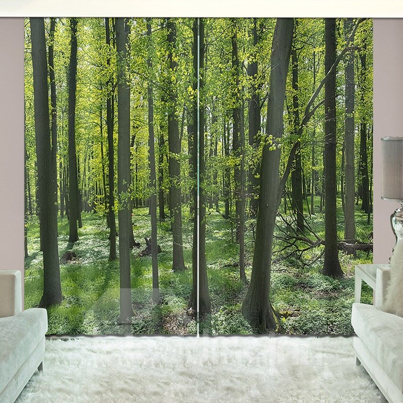 Forest Pathway and Grass Natural Wilderness Scene Print Curtain for Guestroom