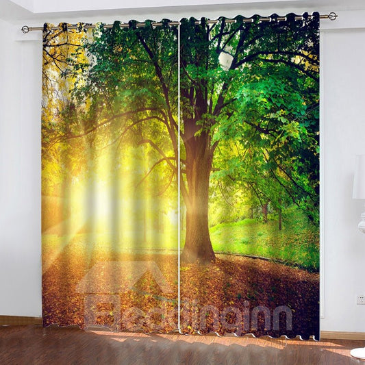3D Fantastic Sunset View Printed Classy Blackout Curtains for Living Room and Bedroom 200g/©O Polyester for Better Shading Effect No Pilling No Fading No off-lining