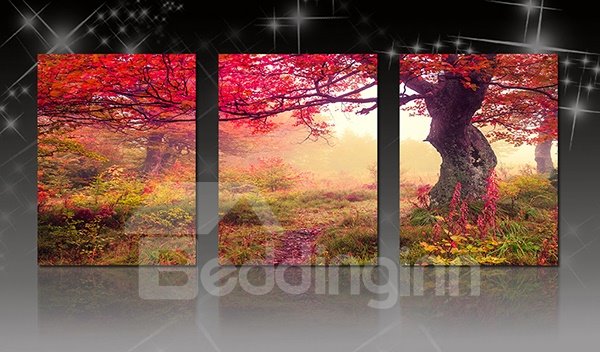 Wonderful Large Tree in Forest 3-Panel Canvas Wall Art Prints