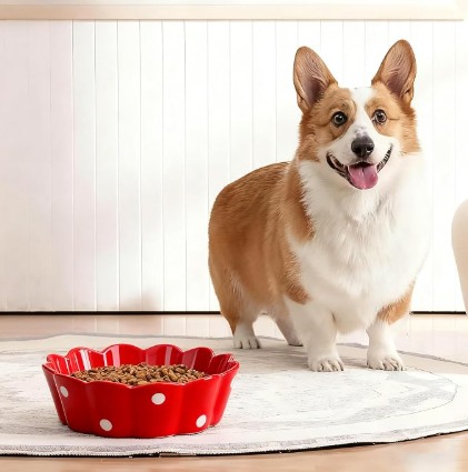 Cat Basic Bowl, Polka Dot Ceramic Pet Food Dish, Non-Slip Bottom Design for Kittens and Small Dogs