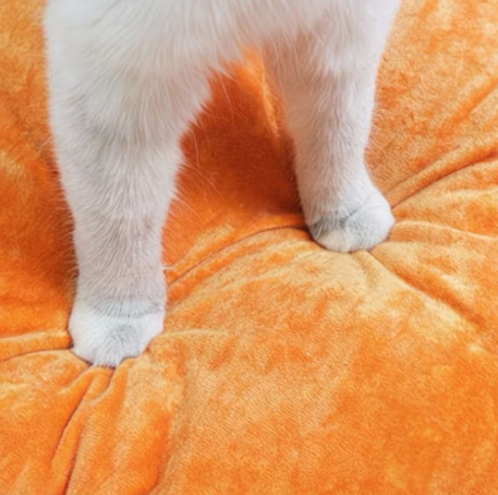 Halloween Pumpkin House Cat Bed，XL – 23.6"