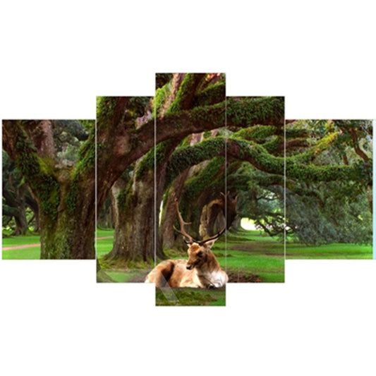 Deer Lying in Forest Hanging 5-Piece Canvas Eco-friendly and Waterproof Non-framed Prints