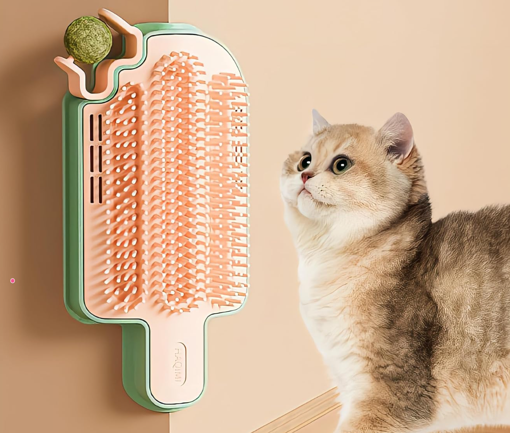 Catnip Toys for Indoor Cats 2 Pack, Stick on Wall Cat Brush with Catnip Ball Toys, 2 in 1 Massage & Self Groomer, Corner Brush