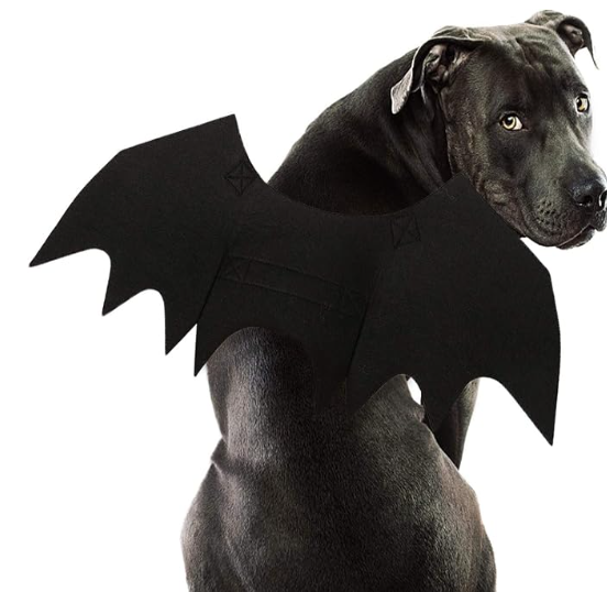 Dog Bat Wings Costume L, Dog Bat Costume for Halloween Cosplay Party