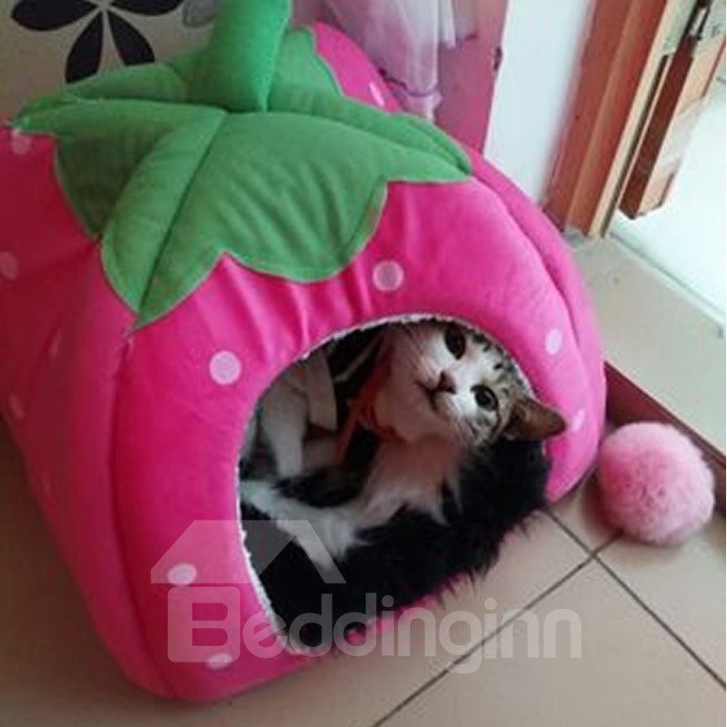 Preciosa casa de fresas de tamaño S-XXL para perros y gatos