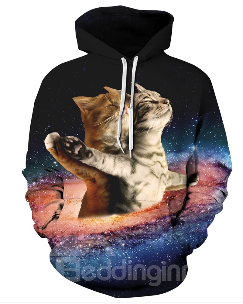 Cats Fall in Love Like Titanic Pattern Long Sleeve 3D Painted Hoodie