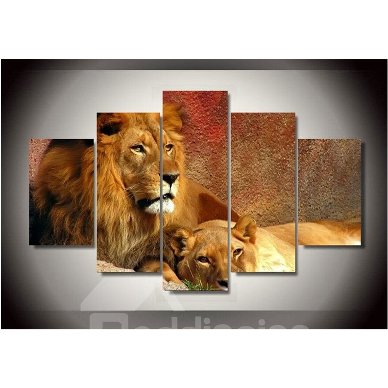 Brown Lions Staring Remote Place Hanging 5-Piece Canvas Eco-friendly and Waterproof Non-framed Prints