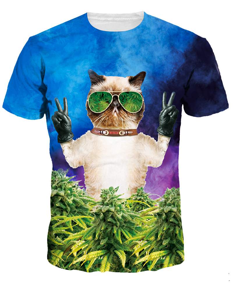 Modernes T-Shirt mit Rundhalsausschnitt, Katze und Brille, 3D-bemalt 