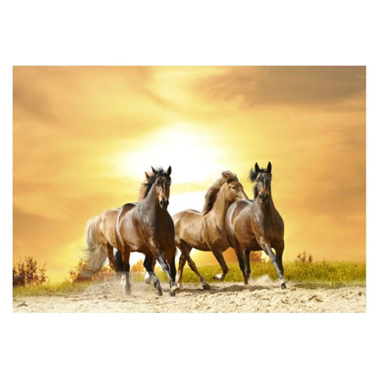 Felpudo decorativo antideslizante con caballos vivos corriendo en el desierto al atardecer 