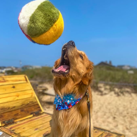 Fluff & Tuff Beach Ball, , 7"