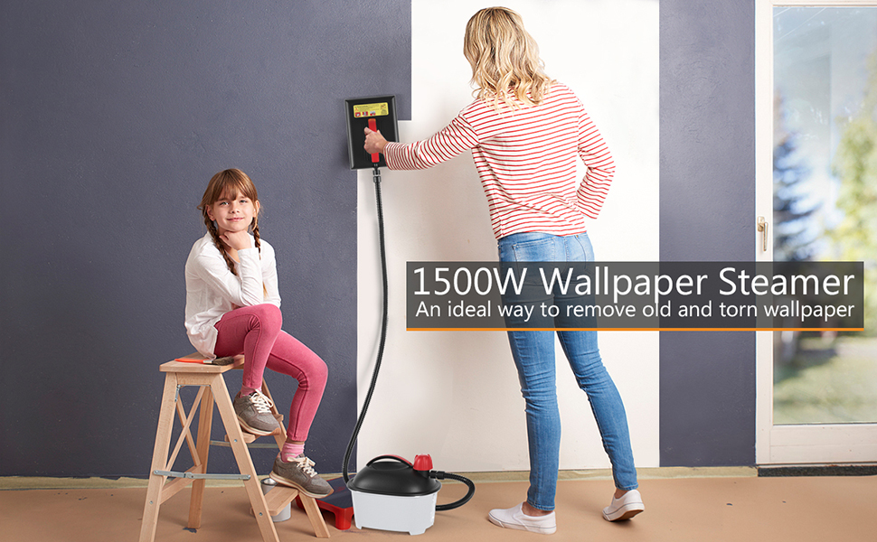 Wallpaper Steamer